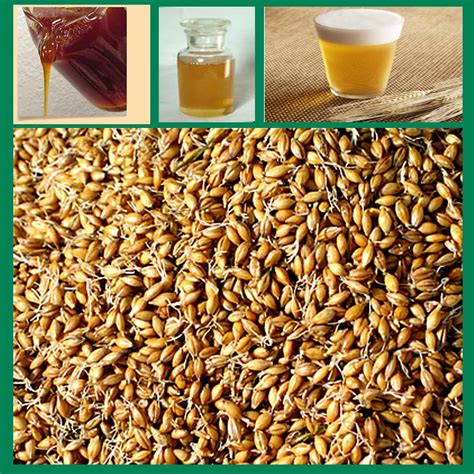 is malt extract good for you.